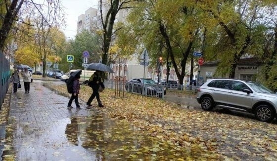 Метеорологи сообщили о первых осенних дождях в Воронеже