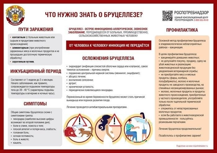 Основные методы лечения бруцеллеза