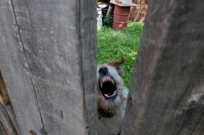 Что делать, если без согласия владельца участка установлена опора ЛЭП