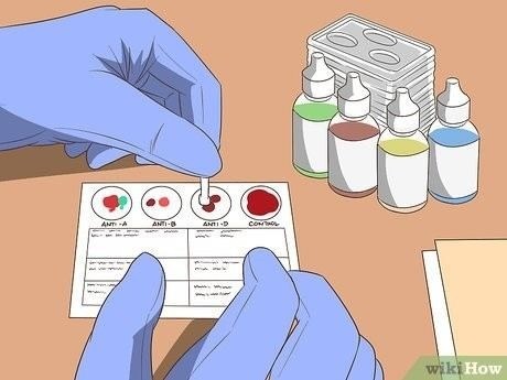 История открытия групп крови и роль Карла Ландштейнера