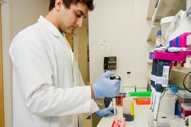 Зачем нужно знать свою группу крови и резус-фактор?