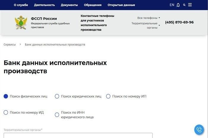 Сведения, доступные онлайн о текущем статусе взыскания