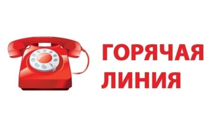 Что можно узнать через горячую линию для родственников мобилизованных?