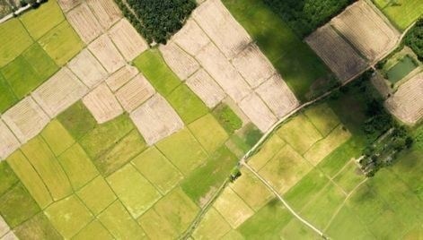 Порядок обращения к Минсельхозу Алтайского края для выделения земельного участка