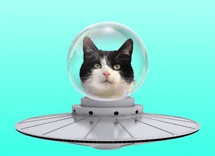 Как правильно рассчитать стоимость получения патента