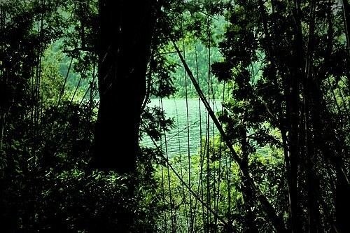 Как сочетать цвет лайм с другими яркими цветами в интерьере