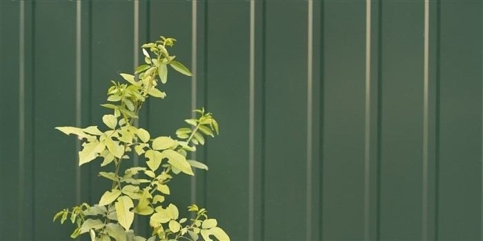 Как новые правила влияют на право собственности и разрешение споров по границам