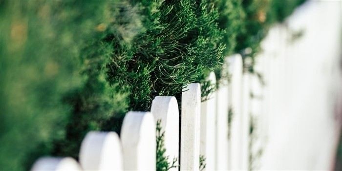 Как правильно определить границы земельного участка: ключевые этапы