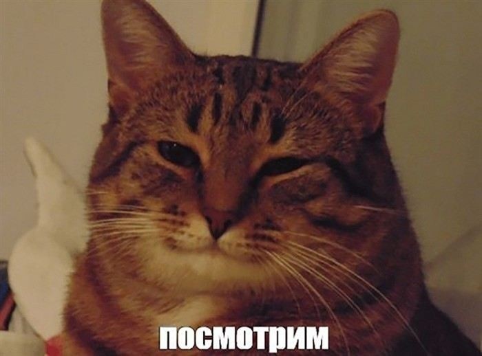 Как обжаловать штраф с камеры для автомобилиста в 2023 году