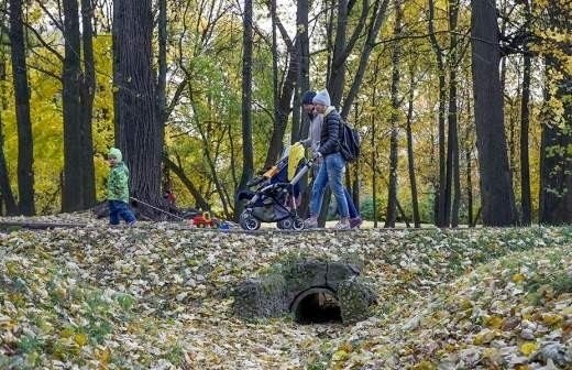 Какие пособия отменят с 1 декабря 2023 года и кого это затронет