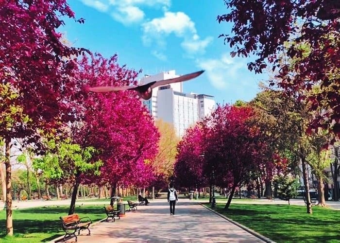 Где недорого переночевать в Кузьминках: лучшие варианты для туристов