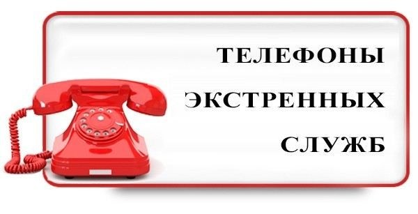 Сроки и порядок подачи заявления на воинский учет через МФЦ