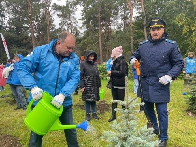 Природоохранная прокуратура на Народной улице: Обзор и Практическое Руководство