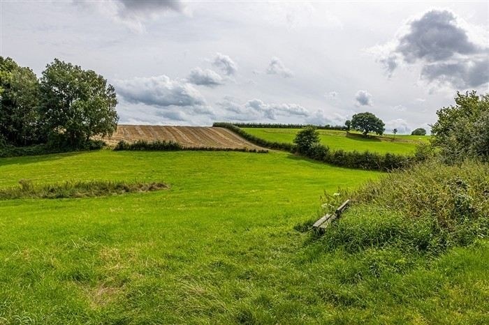 Как оспорить публичный сервитут в суде: пошаговая инструкция