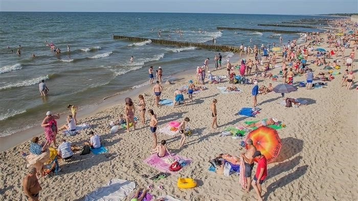 Условия для членов семьи, имеющих право на перенос отпуска:.