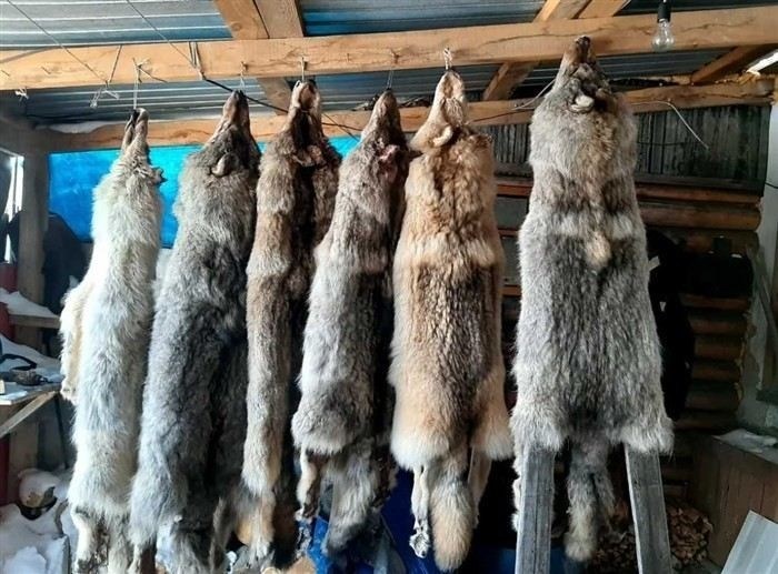 Номера для связи с военными комиссариатами по вопросам СВО