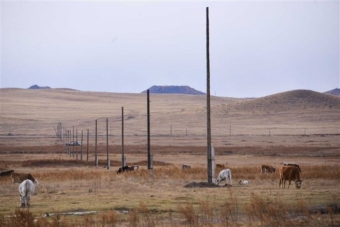 Как найти актуальные контактные данные для военнослужащих СВО