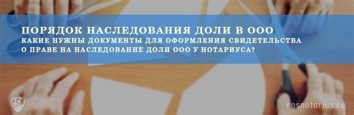 Переходит ли по наследству доля участника ООО?