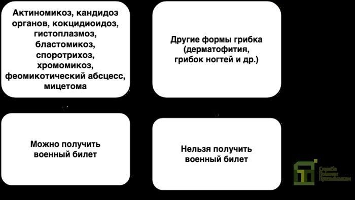 Какие виды грибка могут стать основанием для отсрочки от службы