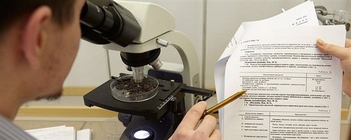 Когда требуется судебная экспертиза и кто её назначает