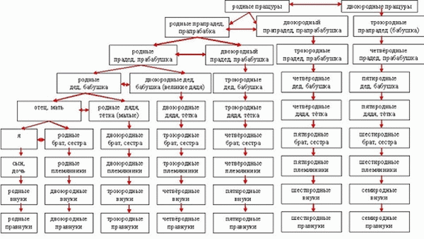 Дерево родства