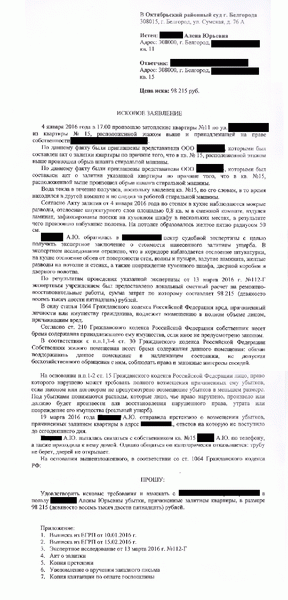 В заявлении подробно расскажите про аварию, опишите, какие убытки вы понесли и кто их должен возмещать